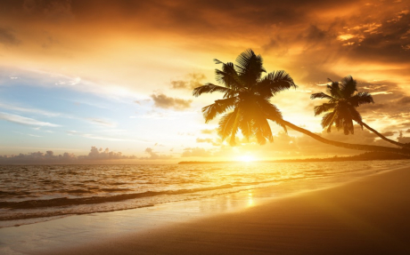 gallery/caribbean-wallpaper-5-1024x640